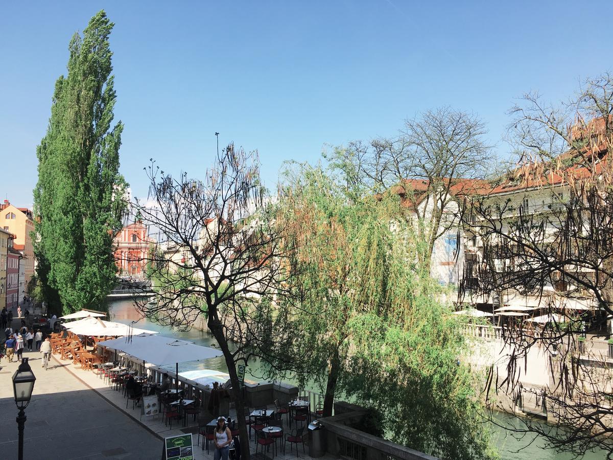 River And Castle View Apartment Rose Tour As Ljubljana Kültér fotó