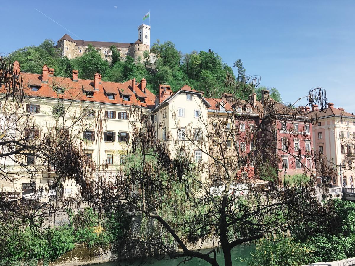 River And Castle View Apartment Rose Tour As Ljubljana Kültér fotó